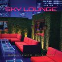 Sky Lounge: Downtempo Chillout专辑