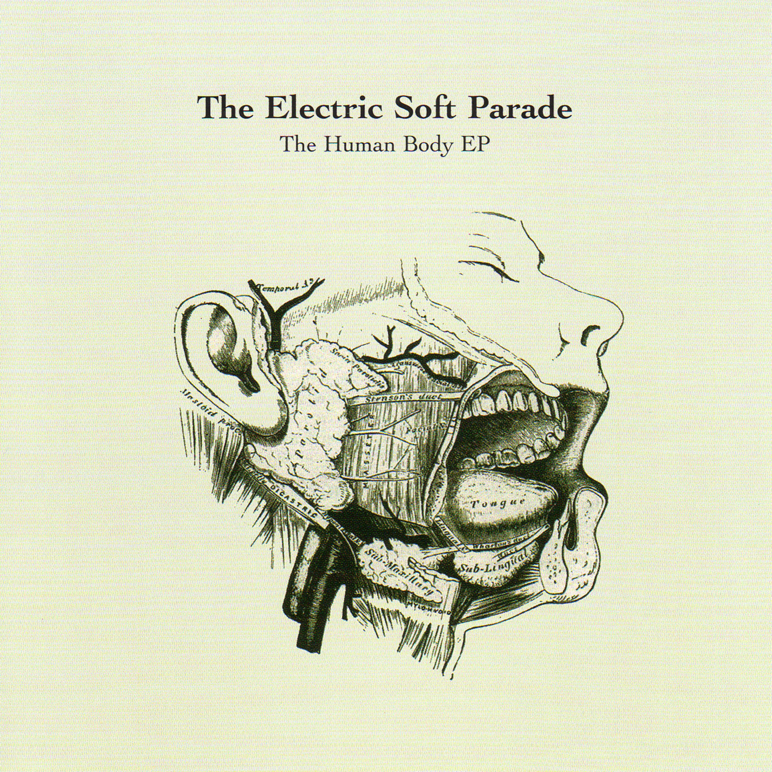 The Human Body Ep