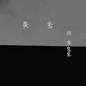 失去专辑