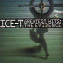 Greatest Hits: The Evidence专辑