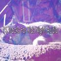 75 Tracks For Kids Night Audio专辑