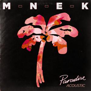 MNEK - Paradise (Instrumental) 原版无和声伴奏