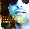 Life Of Riley - The Lightning Seeds Collection专辑