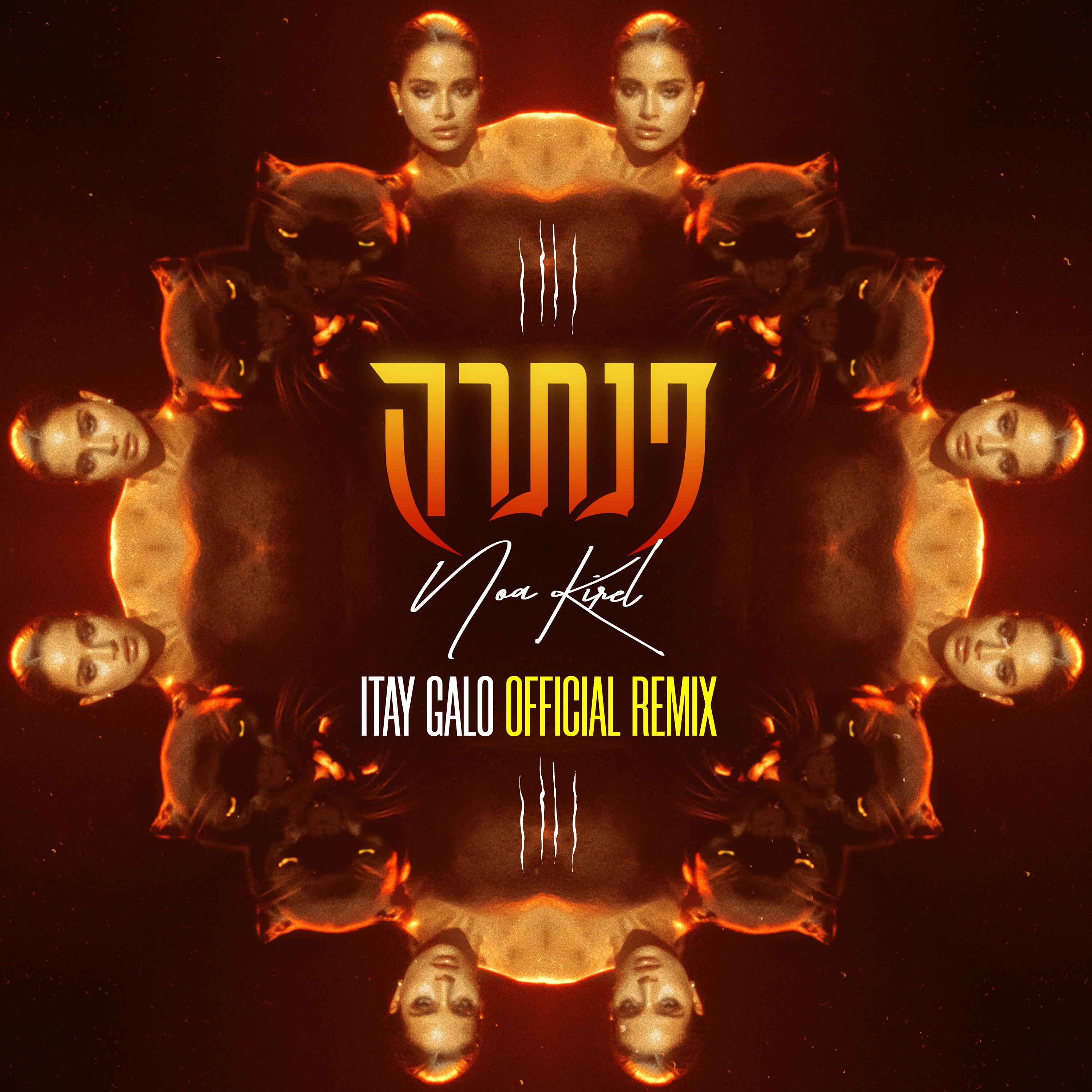פנתרה (Itay Galo Official Remix)