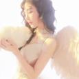 白色桔梗花