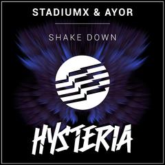 Shake Down (Extended Mix)