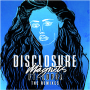 Magnets(The Remixes)