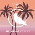 Am I Wrong (MÖWE Bootleg)