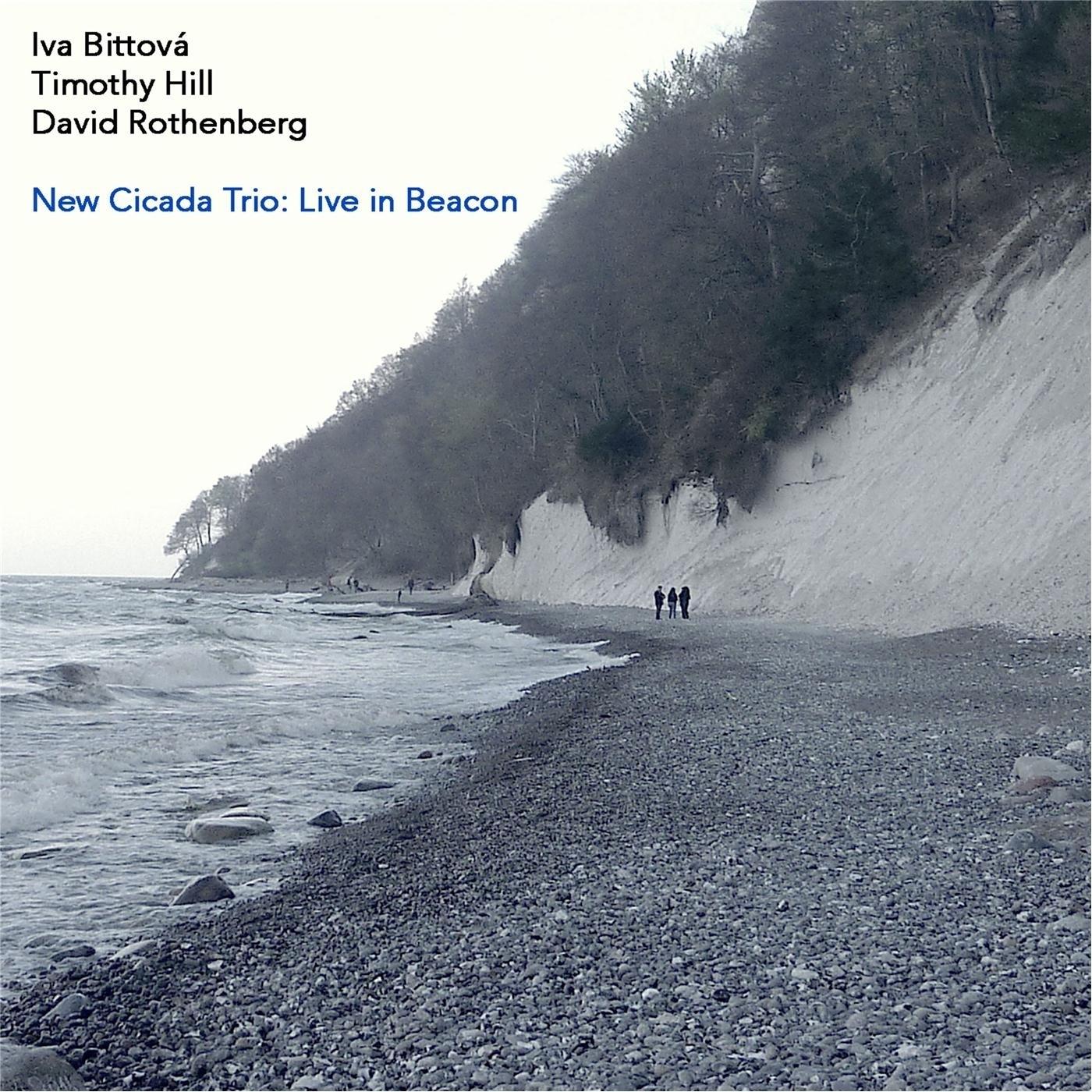 New Cicada Trio: Live in Beacon