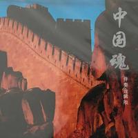 龙军 - 中国魂(原版立体声伴奏)版本2