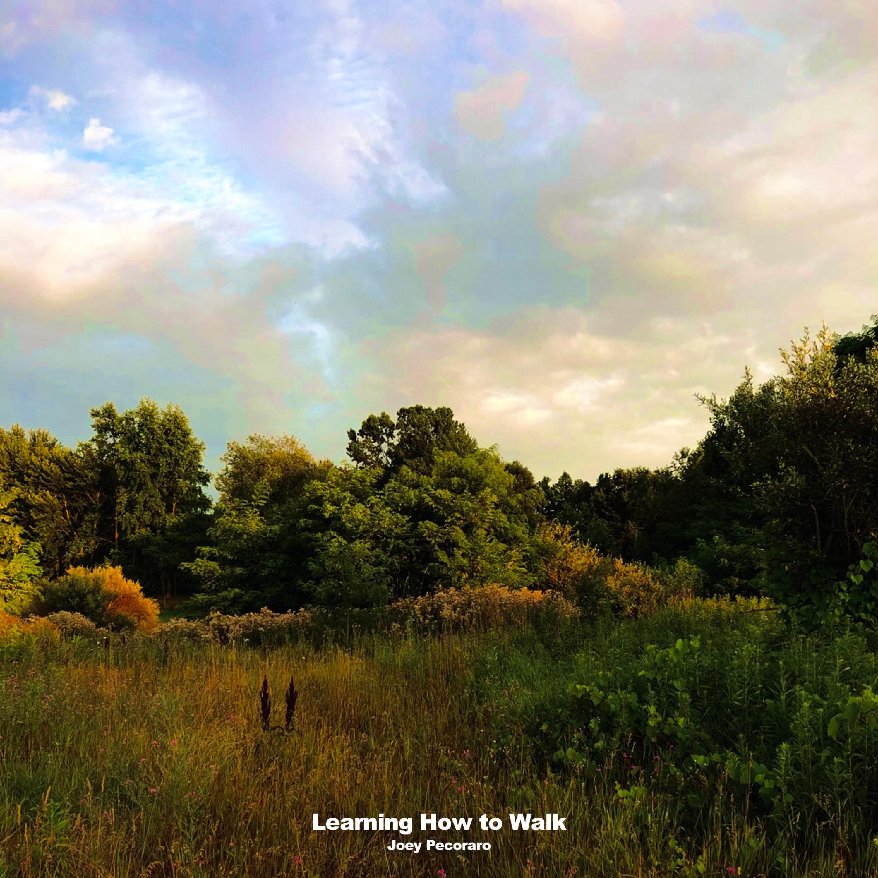 Learning How To Walk (Codaclef Remix)