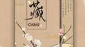 藏专辑