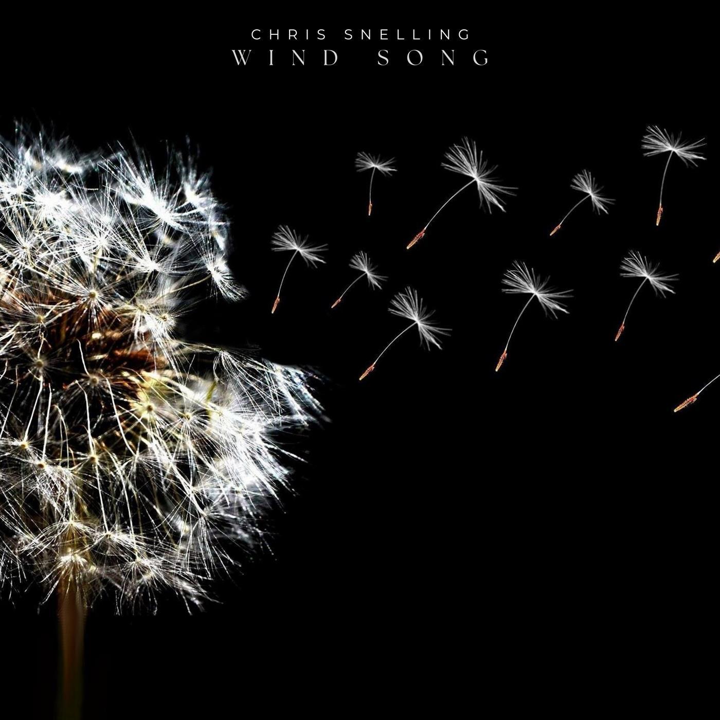Einaudi: Wind Song