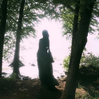 绿野仙踪 | 探寻幽秘的森林之深