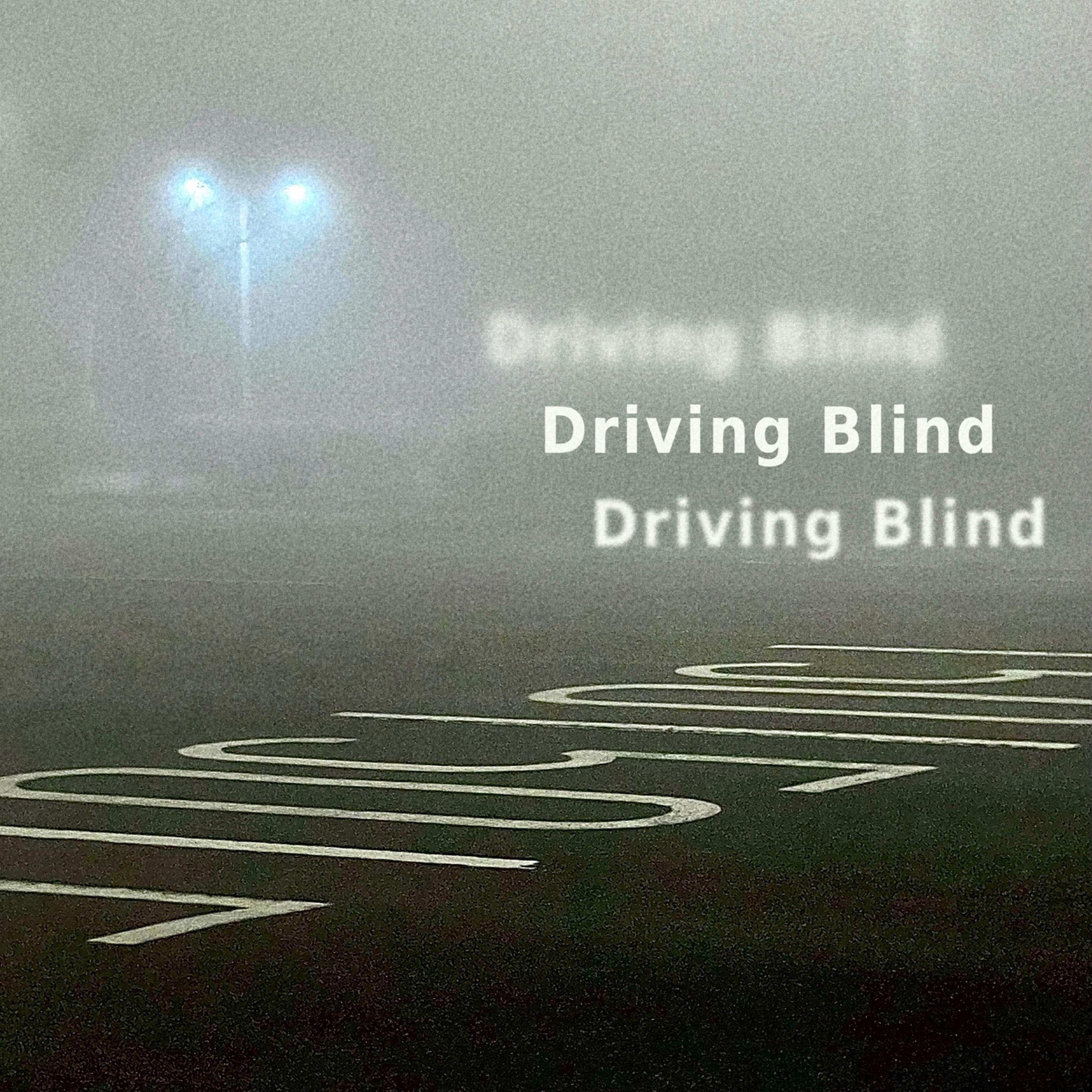 Driving Blind
