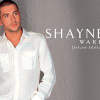 Shayne Ward - Hit the Ground Running (Pre-V2) 带和声伴奏