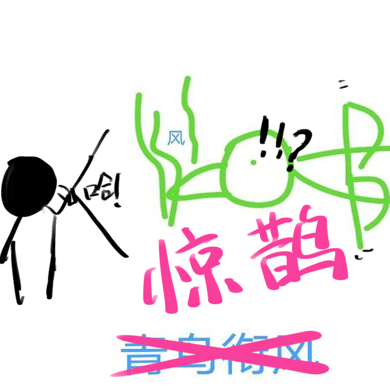 惊鸟小分队