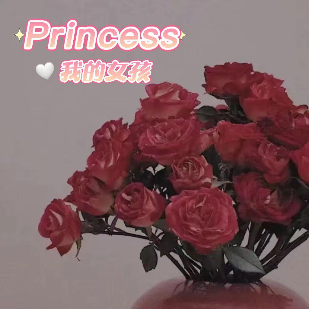 AD钙 - Princess