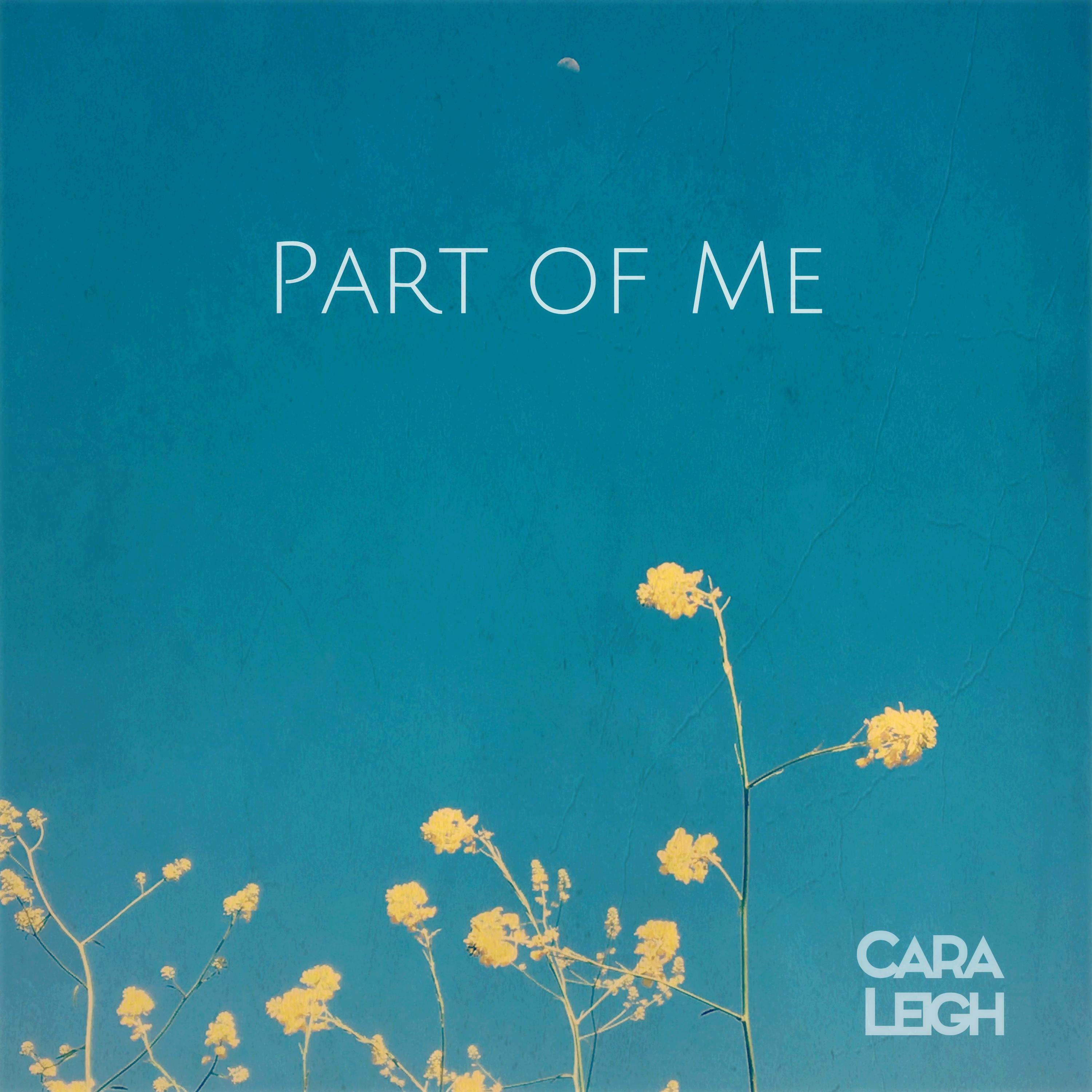 Part of Me