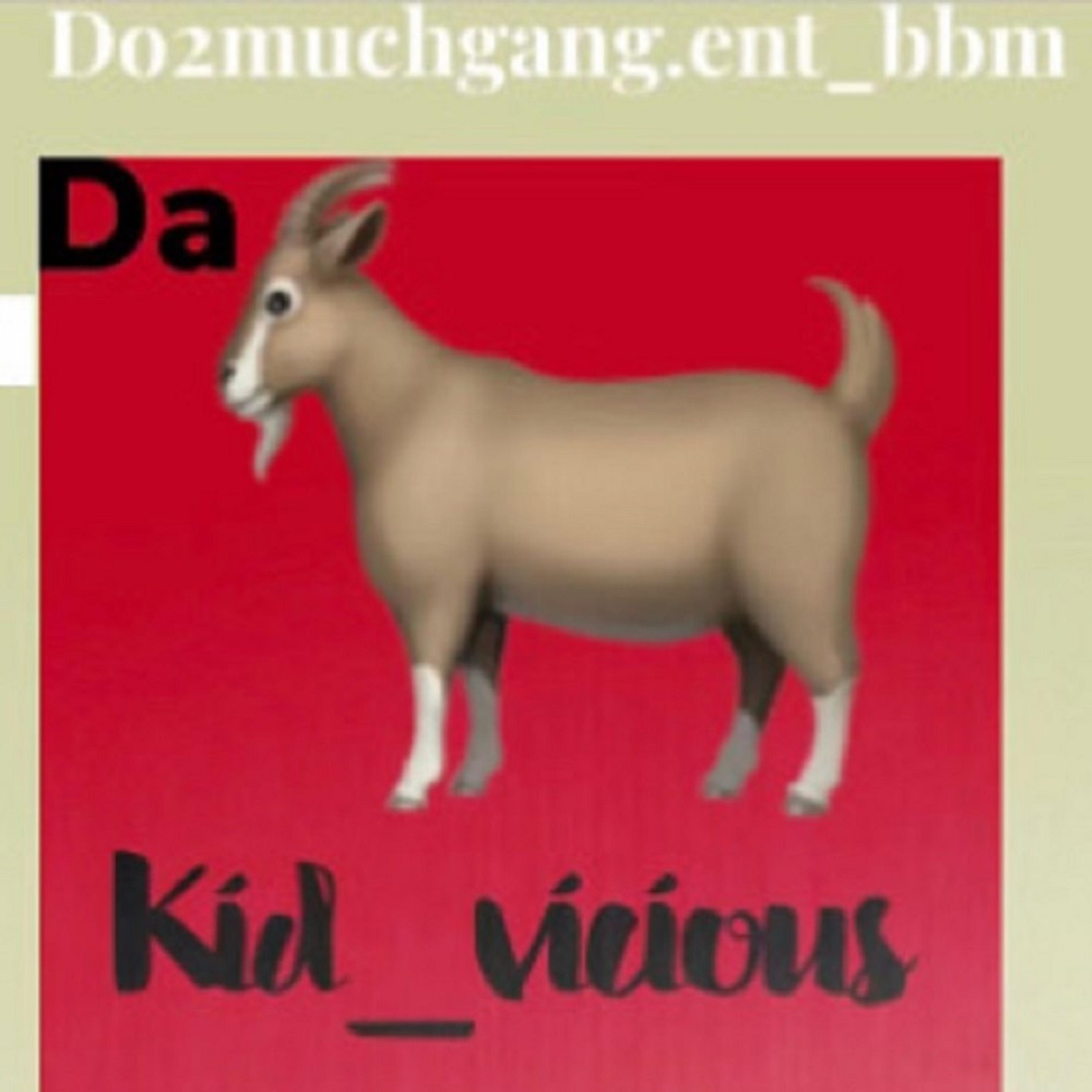 kid vicious VH2