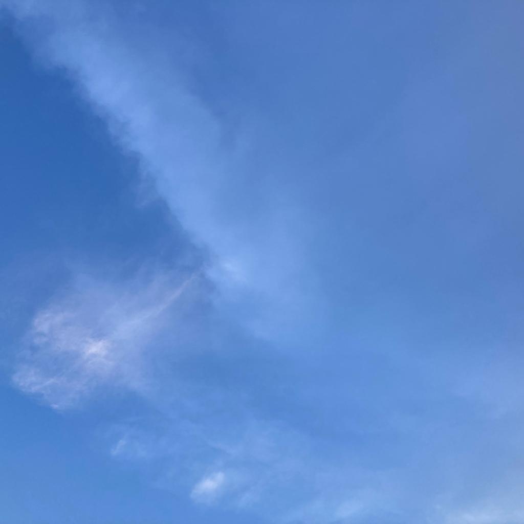 悲哀的曲子自娱自愈