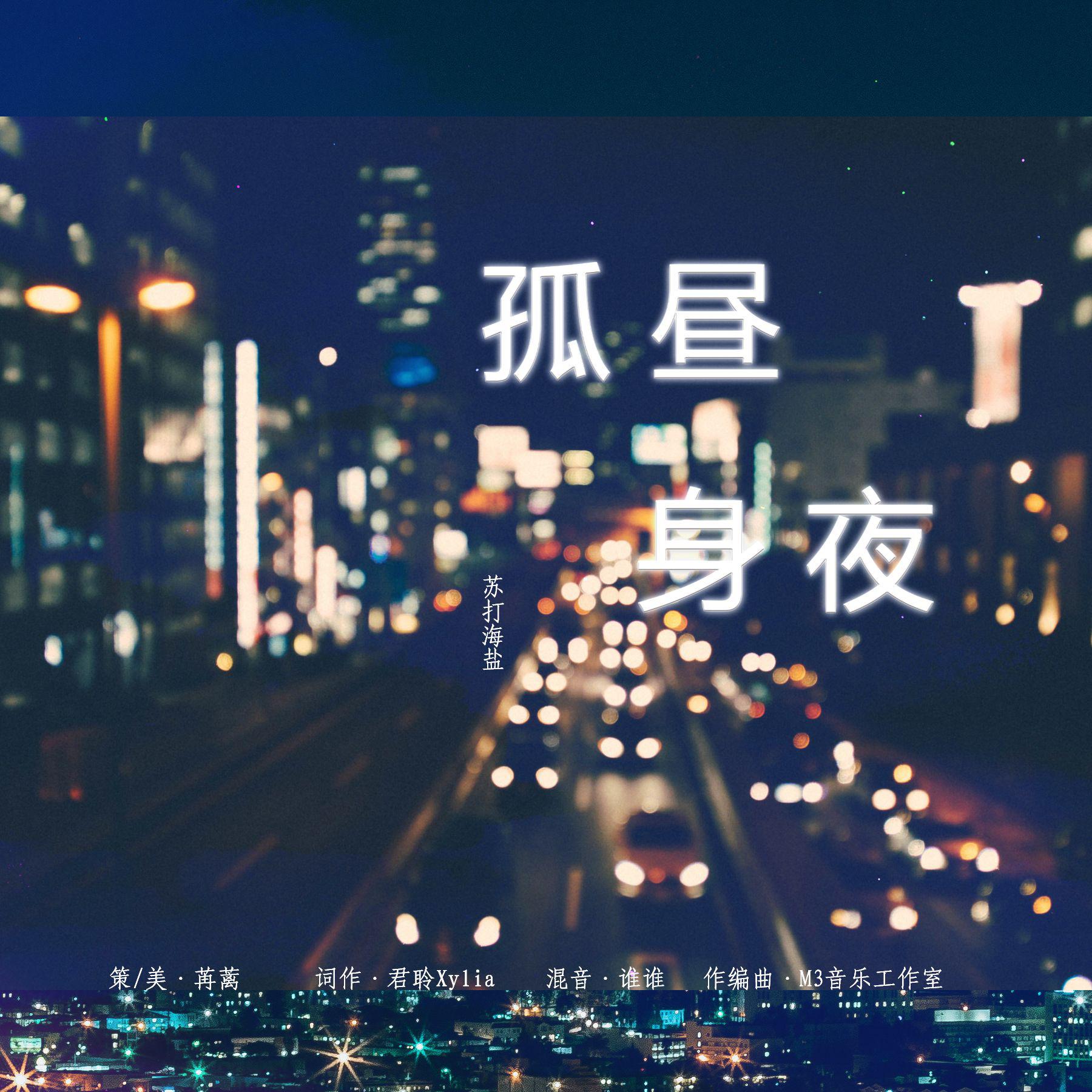 苏打海盐 - 孤身昼夜