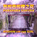 PARAPARA SAKURA