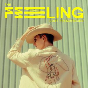 Lost Frequencies - The Feeling （降1半音）