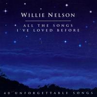 Stardust - Willie Nelson (karaoke)