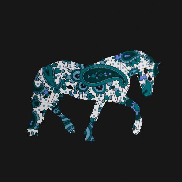 AraAppaloosa vol.I