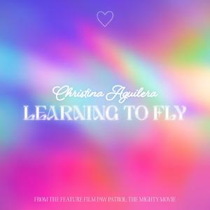 Christina Aguilera - Learning To Fly (From Paw Patrol) (KV Instrumental) 无和声伴奏
