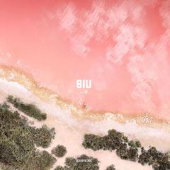 BIU