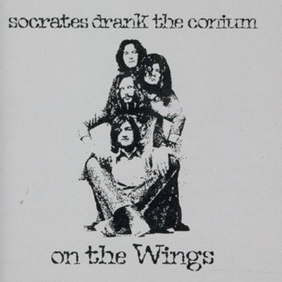 On the Wings