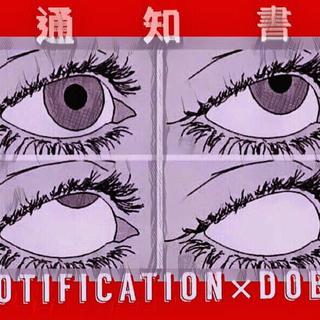 撩歌