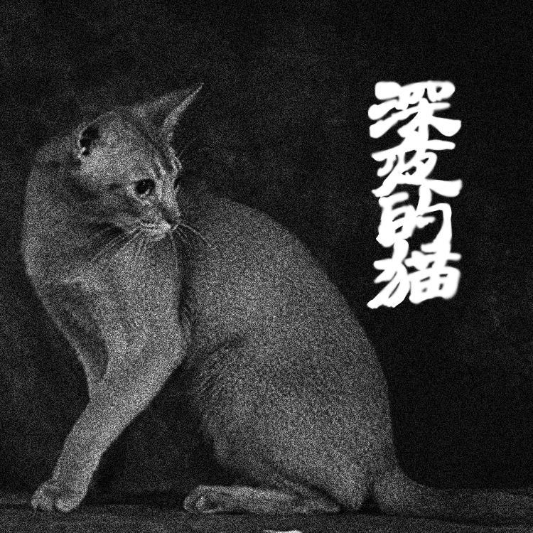 石间《深夜的猫》