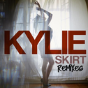 Skirt (Remixes)专辑