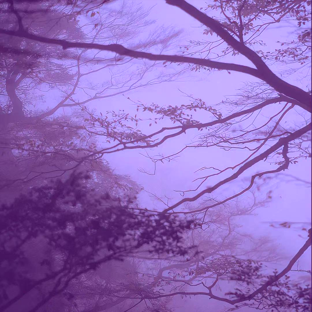 锁芯CYLINDER