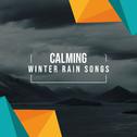 #20 Calming Winter Rain Songs for Relaxation专辑