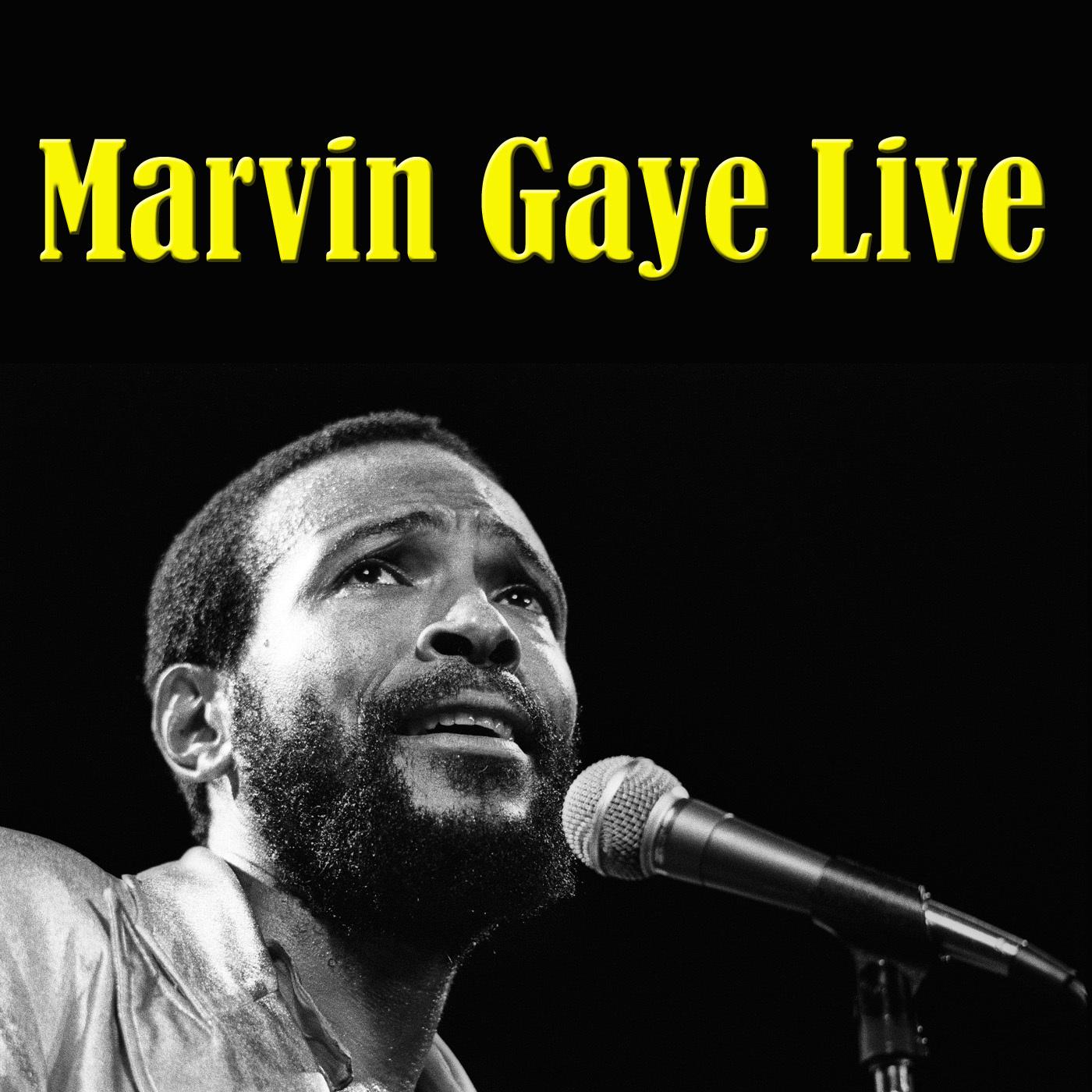 Marvin Gaye Live专辑