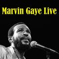 Marvin Gaye Live