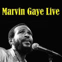 Marvin Gaye Live专辑