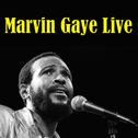 Marvin Gaye Live