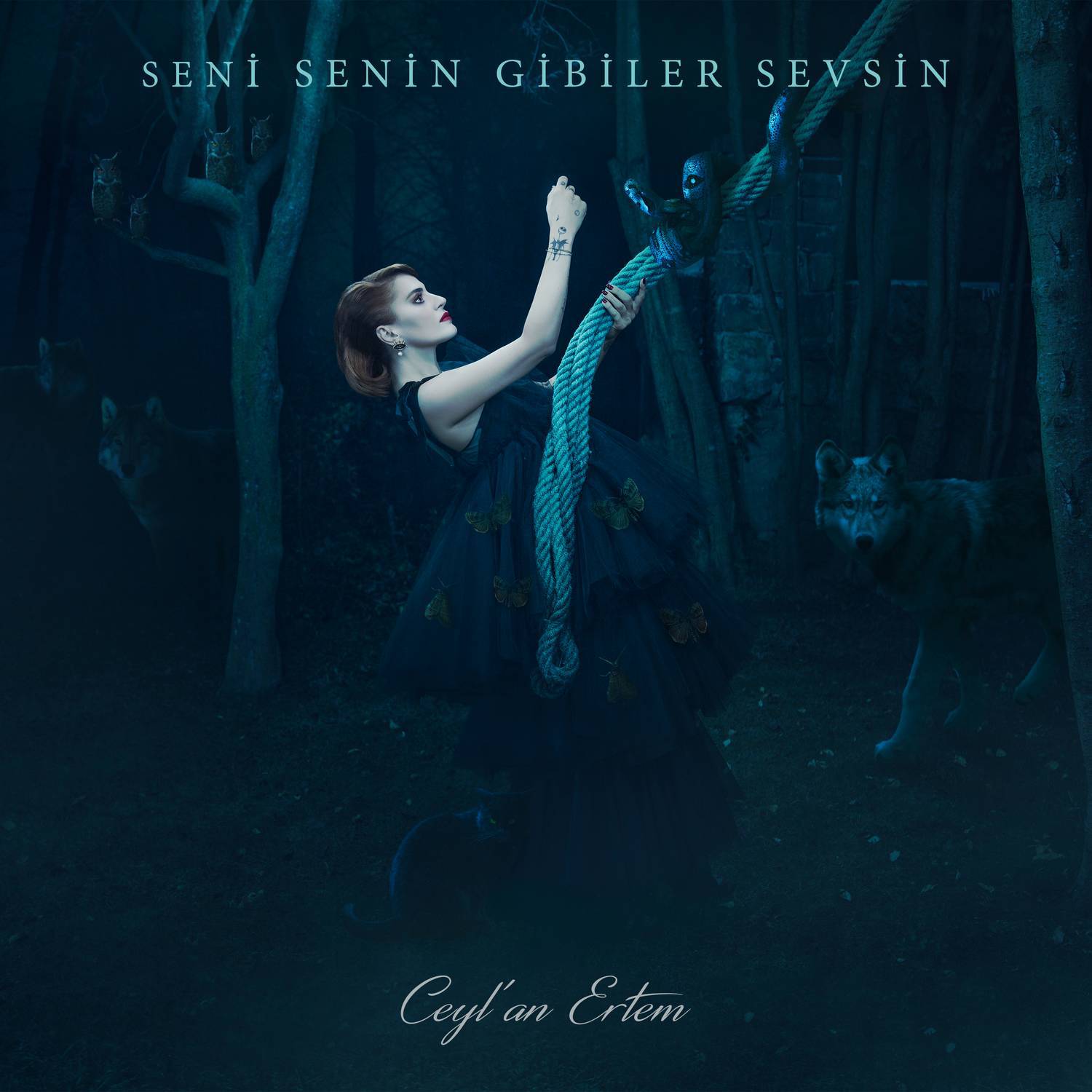 Seni Senin Gibiler Sevsin专辑