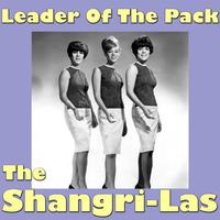 Shangrilas - Leader Of The Pack (karaoke)