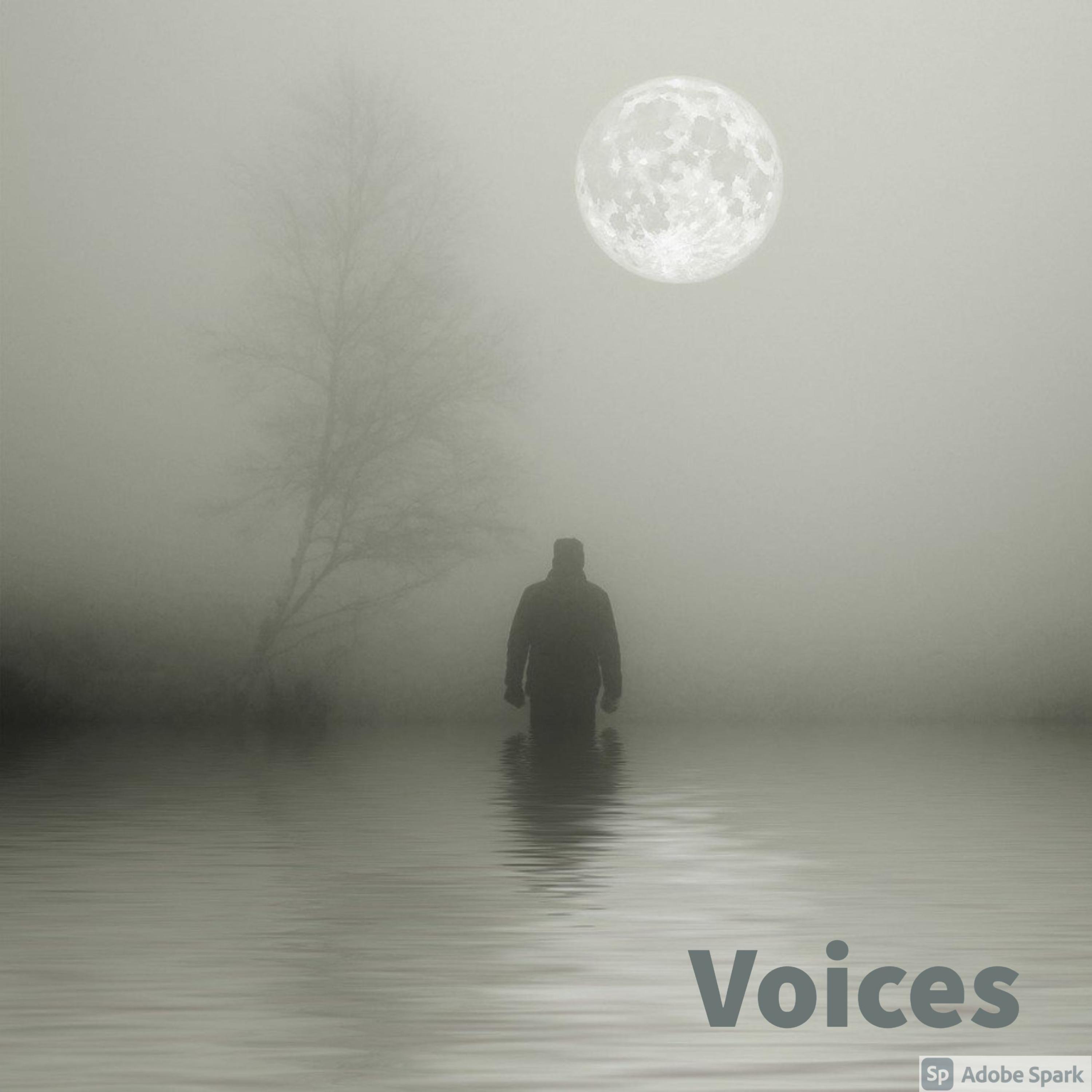 Voices