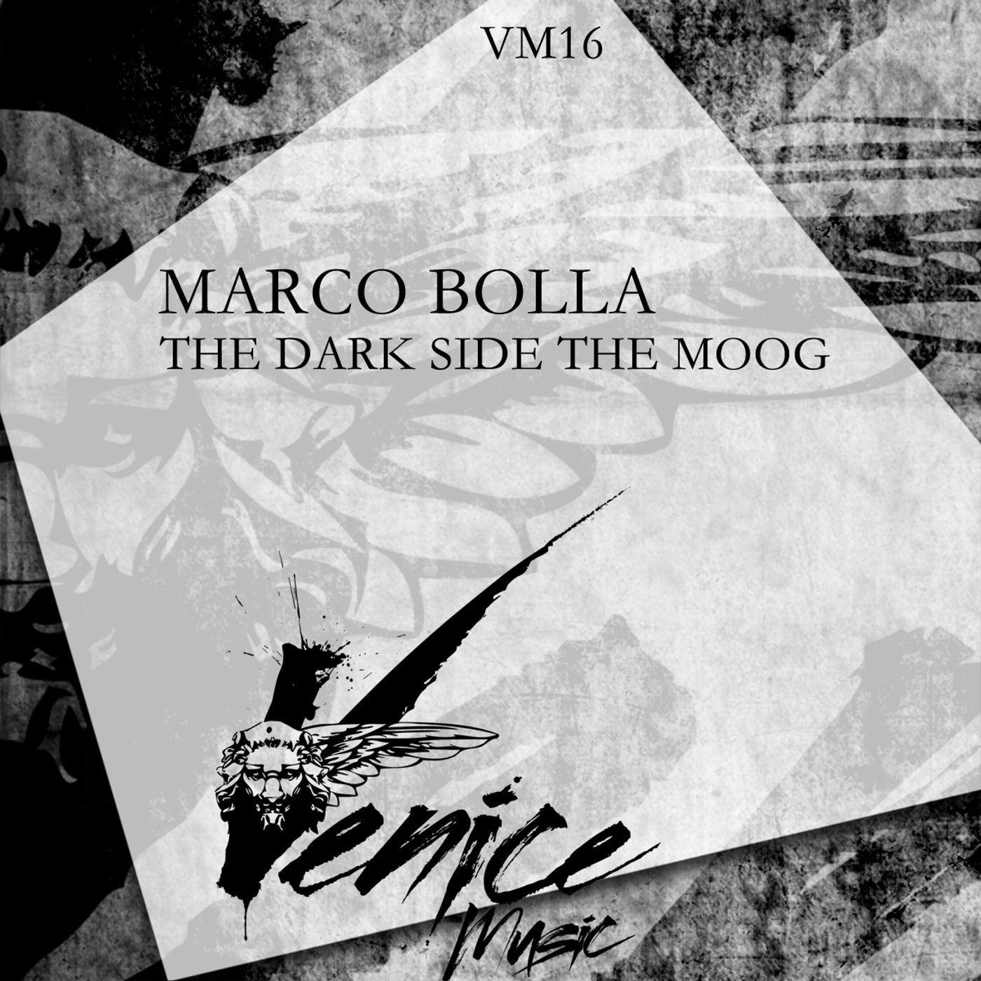 The Dark Side the Moog