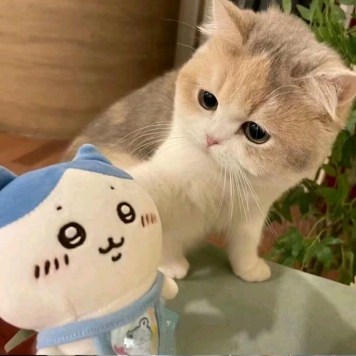 let's go baby让我们起舞