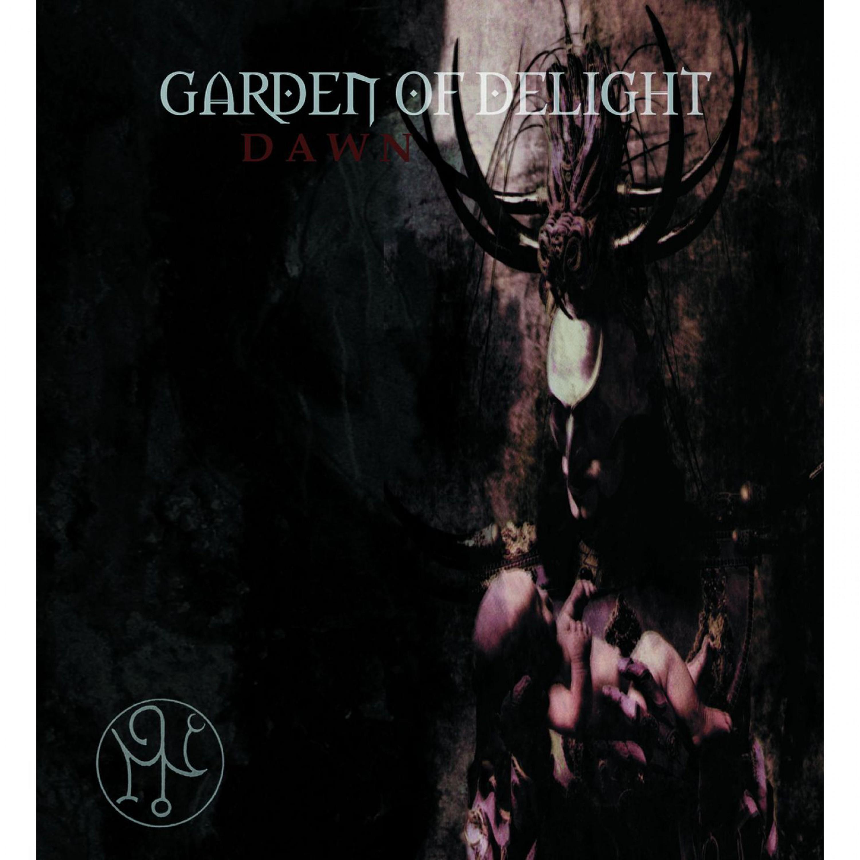 Dawn