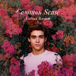 Joshua Bassett - Common Sense (LY Instrumental) 无和声伴奏 （升1半音）