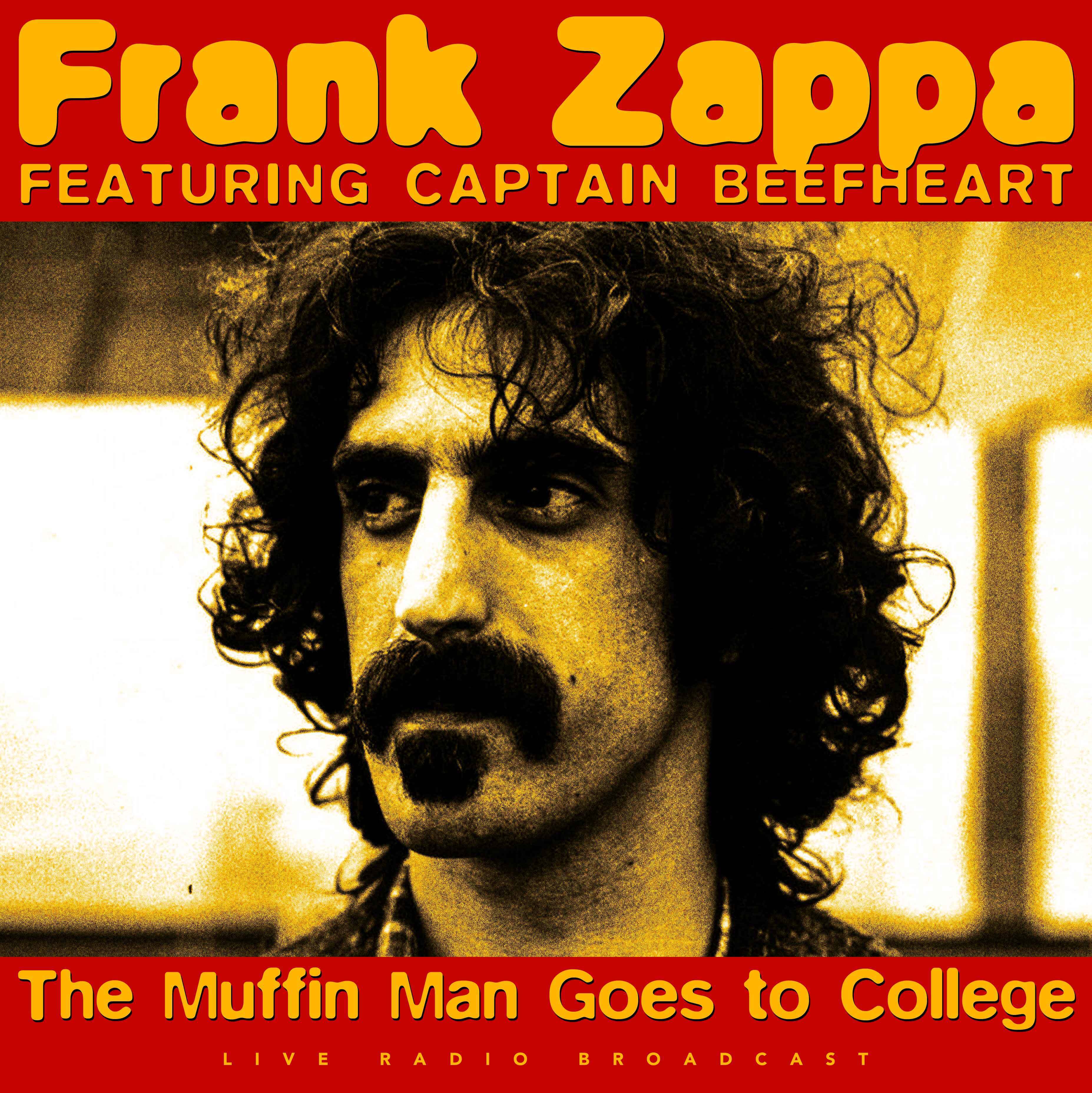 Frank Zappa - The Torture Never Stops (Live)